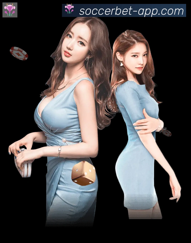奖项证书